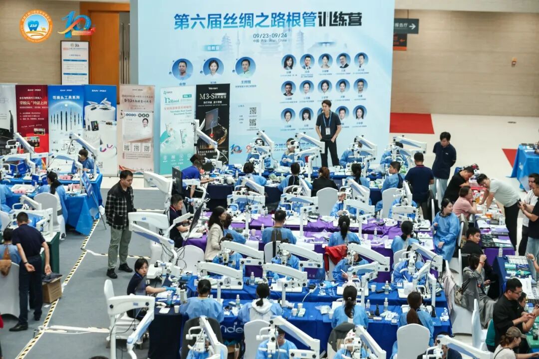 第六届显微根管训练营圆满落幕 | 森川医疗以 SC 镍钛锉助力显微根管实战 - 新闻动态 - 4 参赛医师在显微镜下使用 SC 镍钛锉进行根管预备实操,森川医疗提供耗材支持